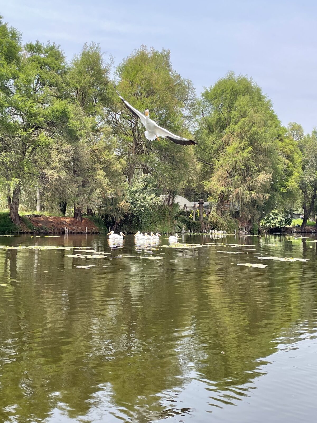 Breakfast on the Floating Gardens