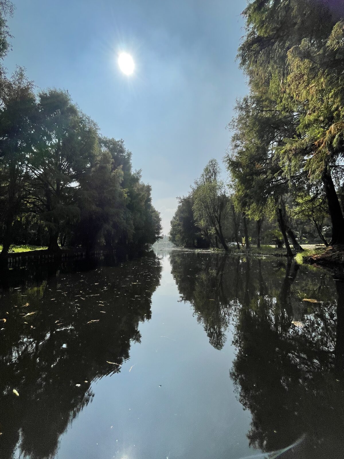 Kayak the Floating Gardens