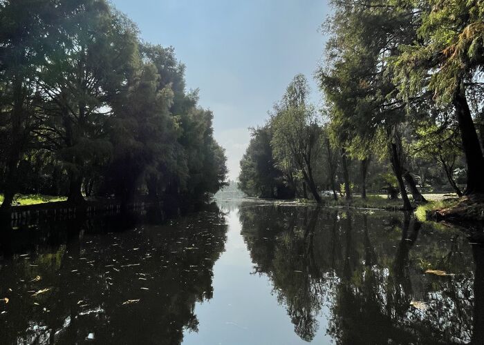 Kayak the Floating Gardens